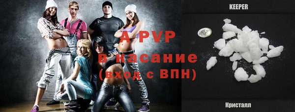 прущие грибы Новозыбков